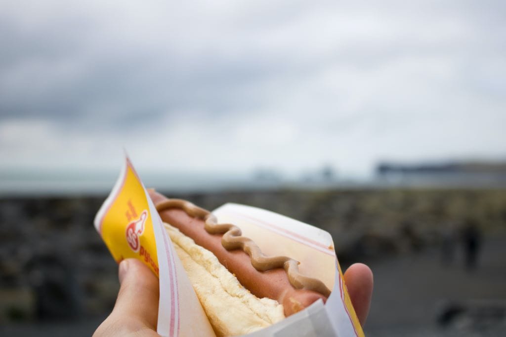The famous Icelandic hot dog