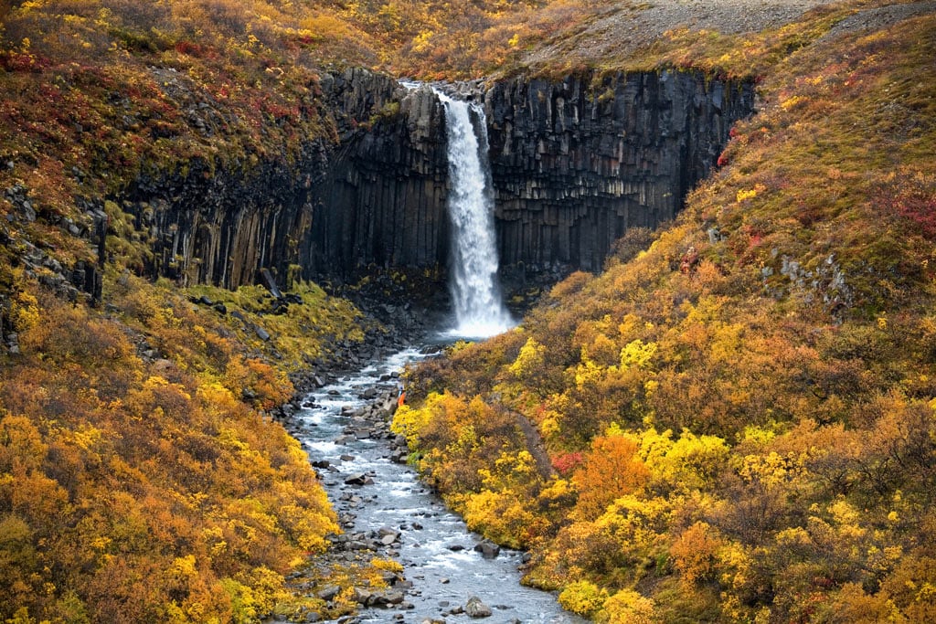 Svartifoss waterfall in Skaftafell in autumn