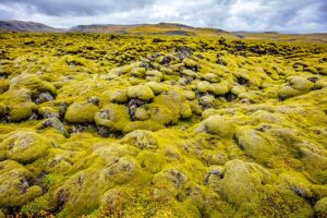 The Traveler's Guide to Iceland's South Coast: 30 Stunning Places You ...