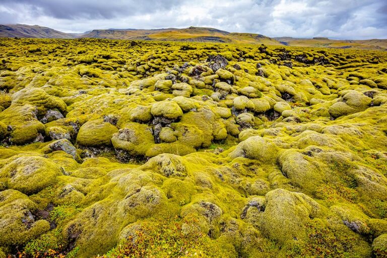 30 Stunning Places in South Iceland | Activity Iceland