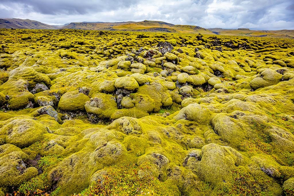 Eldhraun lava field in South Iceland