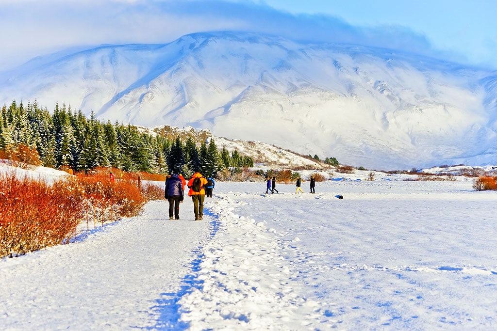 best time to visit iceland january