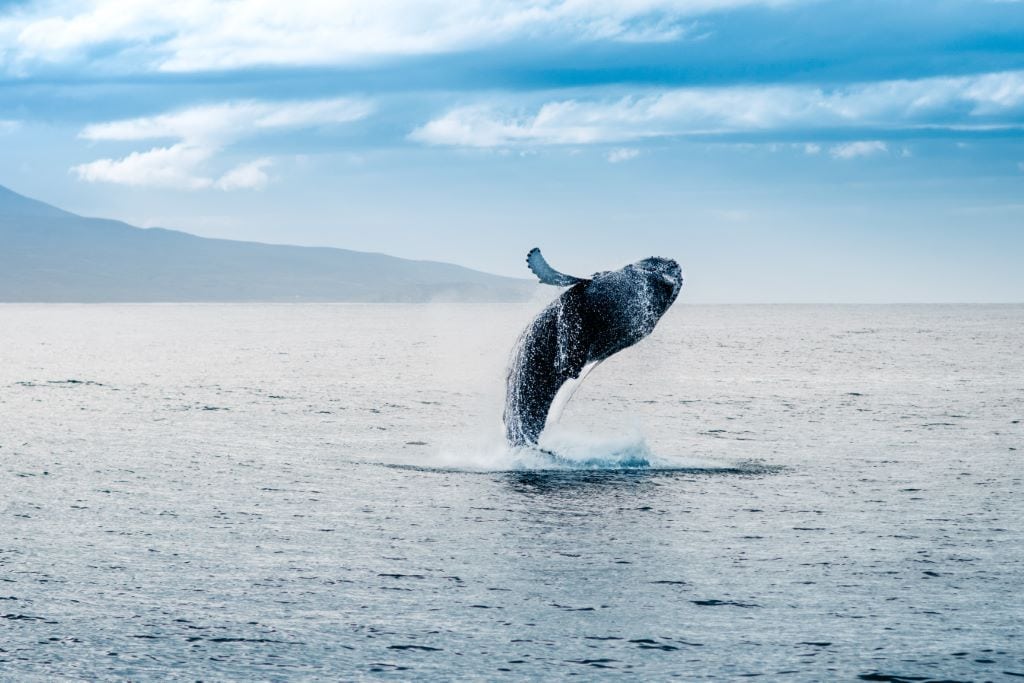 heading north tours iceland