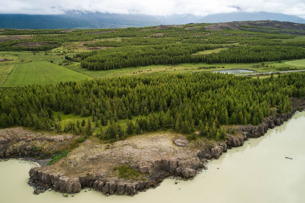 Aerial view of the green forest on Lagafljot lake in East Iceland