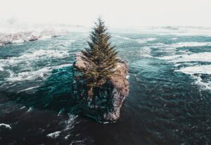 A single christmas tree on a tiny island cliff in the middle of a big river in Iceland