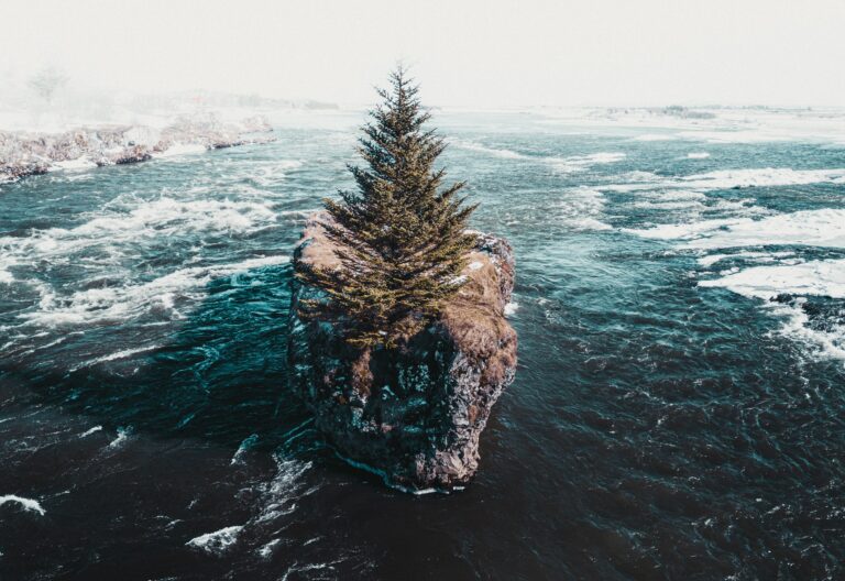 A single christmas tree on a tiny island cliff in the middle of a big river in Iceland