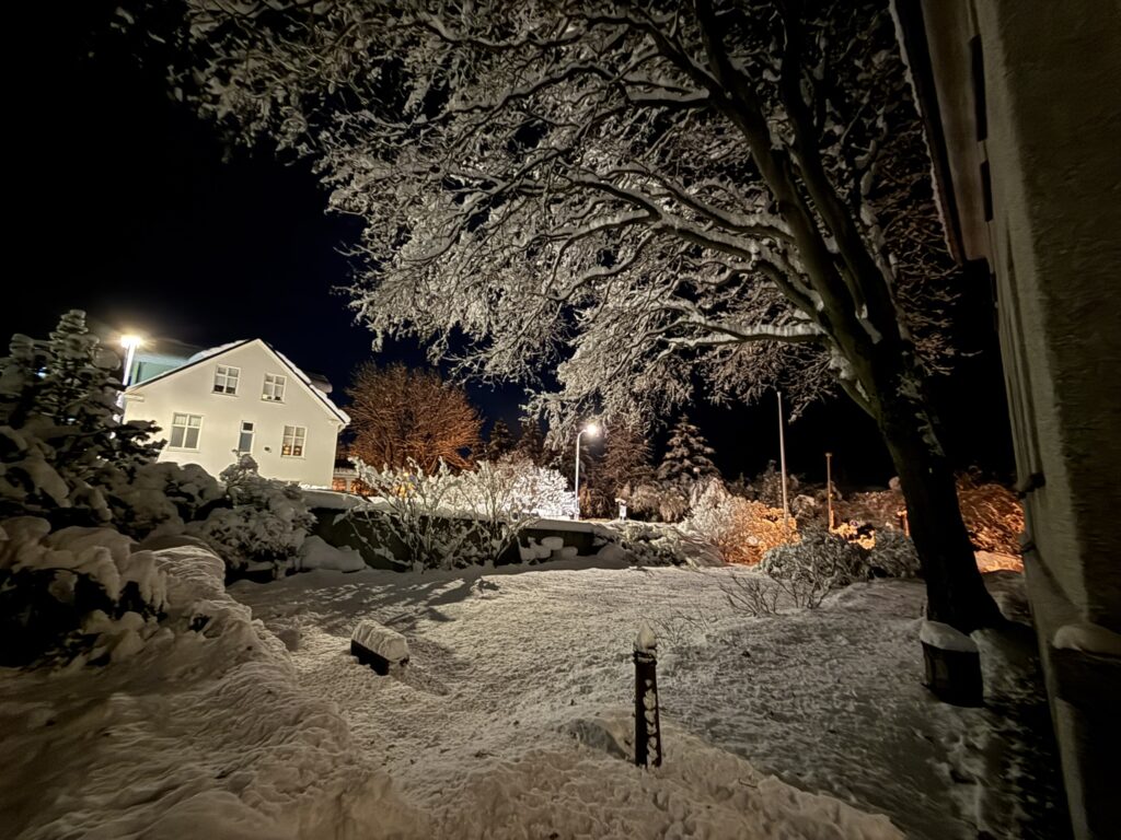 Snowy backyard in downtown Reykjavik in the middle of wintern