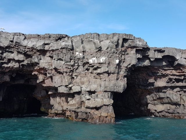 black-beach-rib-boat-safari-03