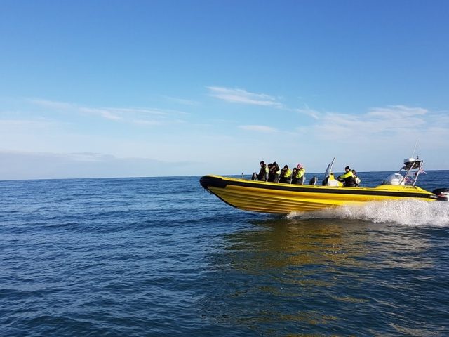 black-beach-rib-boat-safari-05