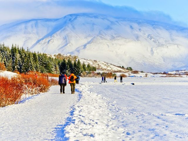 iceland-golden-circle-guide-thingvellir-winter-walk