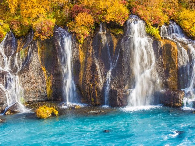 Hraunfossar waterfall with vibrant autumn foliage and turquoise water.