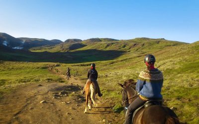 Family horse riding tour in Iceland